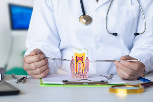 Best Emergency Root Canal Treatment in Tuttle, OK